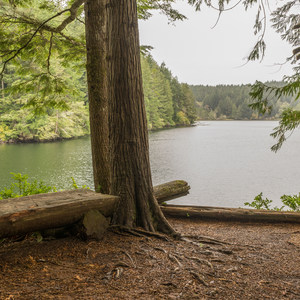 Eel Lake Trail Hike