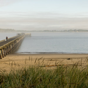 Winchester Bay Crabbing