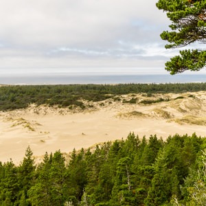 Oregon Dunes Day Use Area