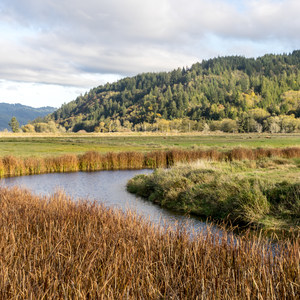 Dean Creek Elk Viewing Area