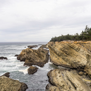 Shore Acres Loop Trail