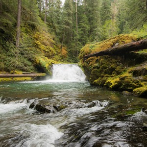 Evergreen Falls + Blue Hole Falls
