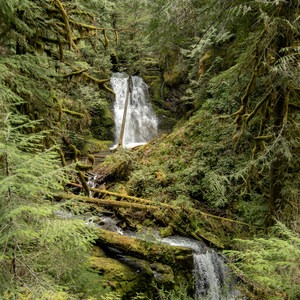 Lower + Upper Parker Falls