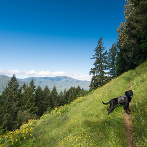 Cloverpatch Trail Hike