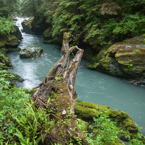 Boulder River Trail