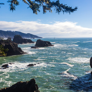 Thunder Rock Cove to Spruce Island Hike