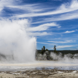 The Wild Solitude of Winter in Yellowstone