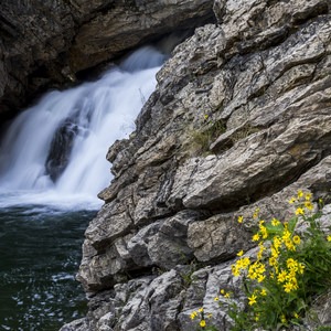 Running Eagle Falls Hike