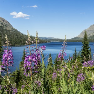 Two Medicine Lake Loop Hike