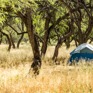 Coon Bluff Campground