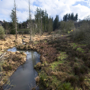 North Johnson Creek Trail