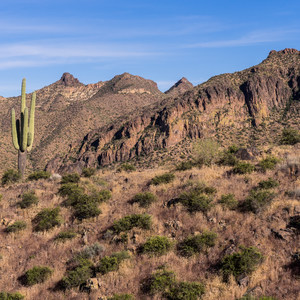 Pass Mountain Loop Hike