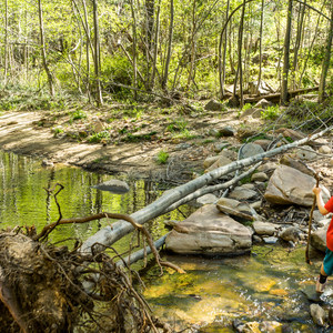 West Fork Trail Hike