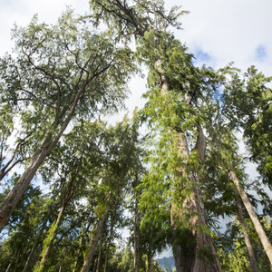 Waimanalo Bay Beach Park Campground