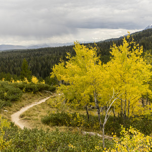 Beaver Creek and Taggart Lake Loop Hike