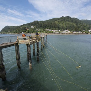 5 Best Crabbing Locations on the Oregon Coast