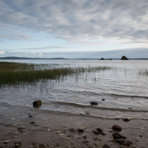 Pinnacle Rock Campground, Willapa Bay National Wildlife Refuge