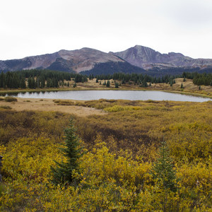 Little Molas Campground