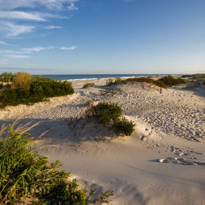 Assateague Island Campground