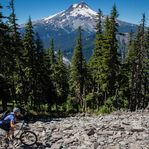 Gunsight Ridge Trail