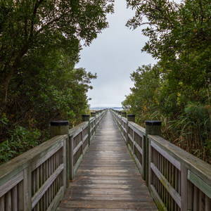 Isle of Wight Wildlife Management Area
