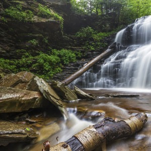 Ricketts Glen State Park