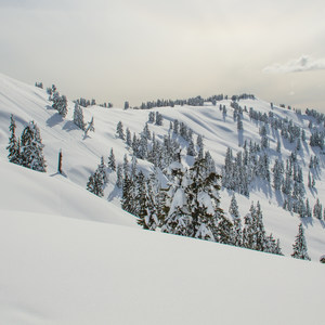 Paul Ridge + The Red Heather Hut