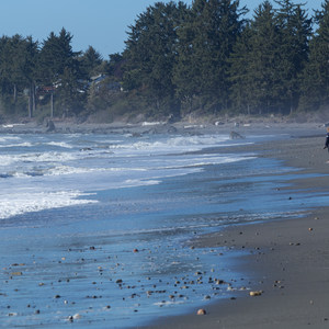 Crissey Field State Recreation Site Beach