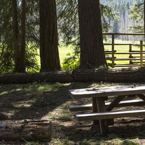 Joe Graham Horse Camp