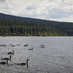 Clear Lake Campground