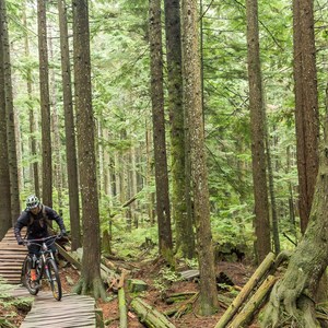 Mount Seymour Trails: CBC