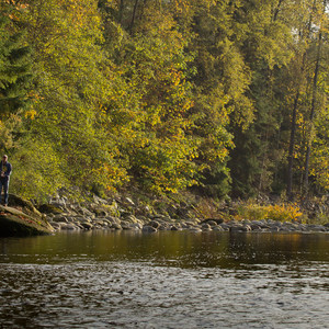Lower Capilano River Valley
