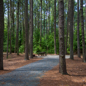 Jane's Island State Park Campground