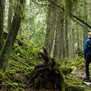 Hidden Grove Hiking Trails