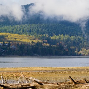 Porpoise Bay Provincial Park Campground