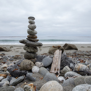 Mill Creek Beaches + Picnic Area
