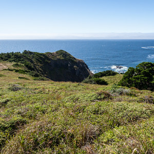 Port Orford Heads State Park Trails