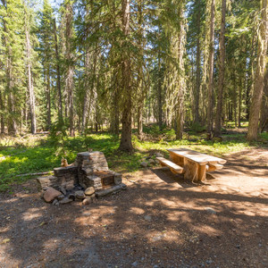 Thielsen Forest Camp