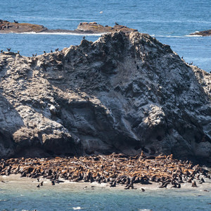Simpson Reef Overlook