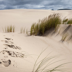 John Dellenback Trail