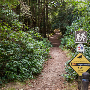 Tahkenitch Campground