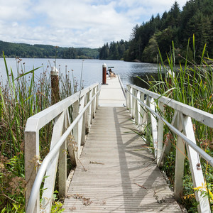 Tahkenitch Landing Campground