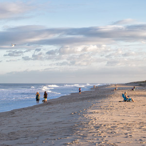 Fenwick Island State Park