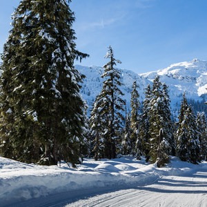 Mainline Trail, Callaghan Country