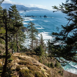 Sights Unseen: 5 Overlooked Hikes on the Northern Oregon Coast