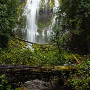 Proxy Falls Hiking Loop