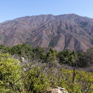 Buzzard's Roost Trail
