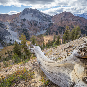 Bear Basin + Seven Up Pass