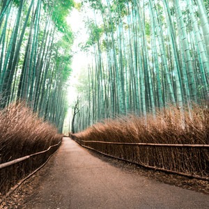 A Photographer's Guide to Travel