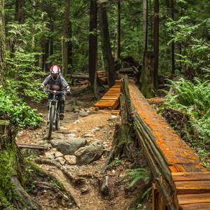 Mount Seymour Trails: Old Buck + Pangor Loop